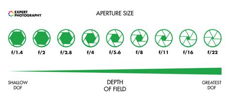 What Is Depth of Field? (And Why it Matters in Photography)