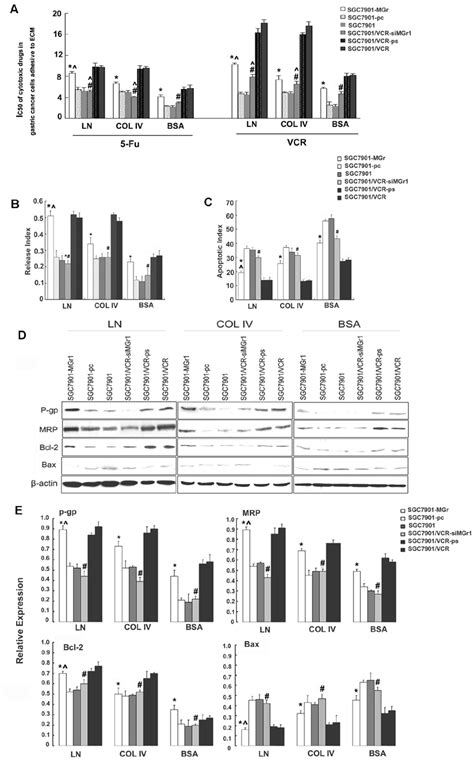 Characterization Of The Mdr Phenotype Of Gastric Cancer Cells