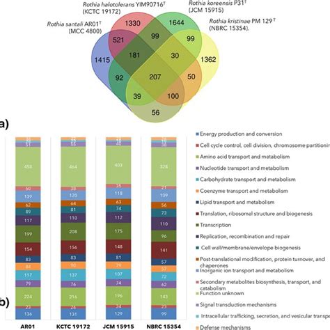 Venn Diagram Of Protein Orthologs A And The COG Functional Category