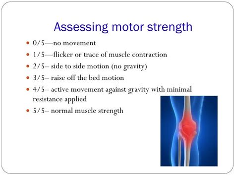 Neurological Assessment97 03