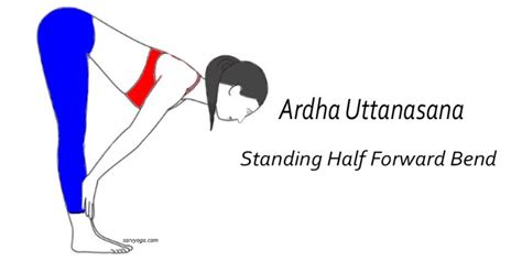 Ardha Uttanasana Standing Half Forward Bend Steps And Benefits