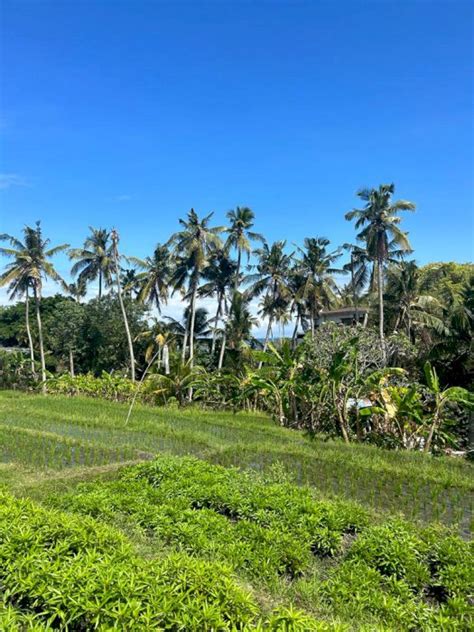 Dijual Tanah Kavling Cemagi Badung Bali Idrumah