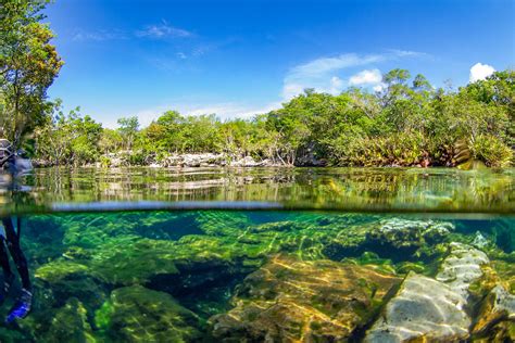 Best Cenotes to Visit in Riviera Maya