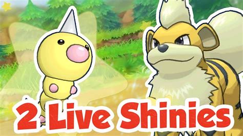 Live Shiny Growlithe And Weedle Reactions Pokemon Lets Go Pikachu