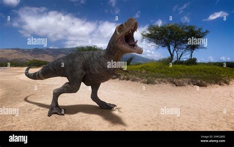 3d Rendering Of A Tyrannosaurus Rex Dinosaur From The Cretaceous Period