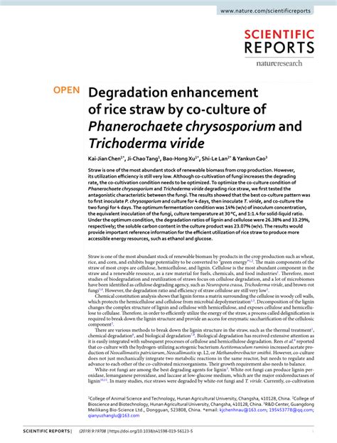 (PDF) Degradation enhancement of rice straw by co-culture of Phanerochaete chrysosporium and ...