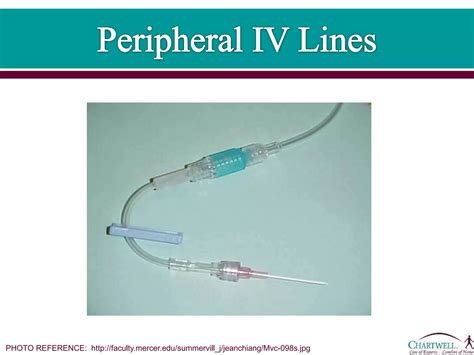 1. peripheral and midline iv lines | PPTX
