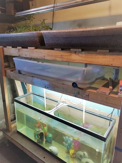 20 Useful Diy Aquaponics Systems And Plans Blitsy