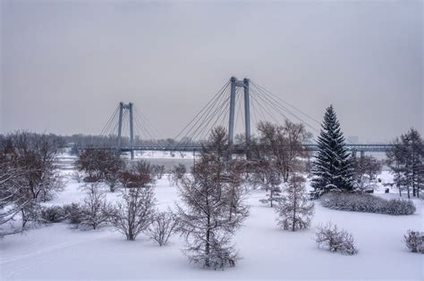 Bridge Winter Season - Free photo on Pixabay - Pixabay