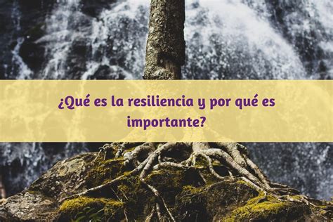 ¿qué Es La Resiliencia Y Por Qué Es Importante Dyadis Psicologia