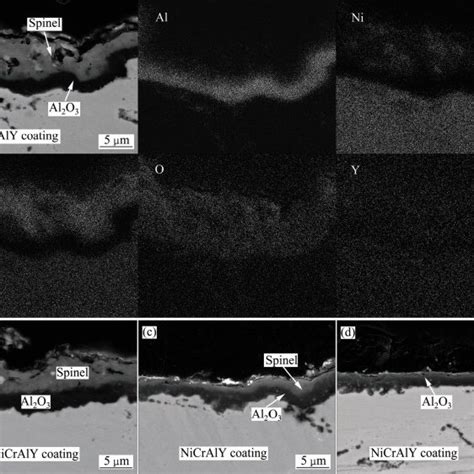 Cross Sectional Morphologies And Element Distribution Maps Of Oxide