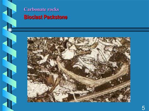 PPT - Carbonate rocks PowerPoint Presentation, free download - ID:5305615