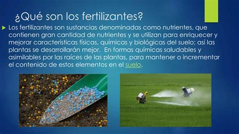 ¿cuales Son Los Riesgos Y Beneficios De Los Fertilizantes Y Plaguicidas