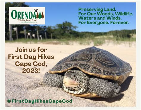 Join Orenda Wildlife Land Trust For First Day Hikes Cape Cod