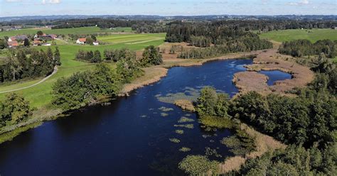 Ma Nahmen Zur Moorrenaturierung Im Naturschutzgebiet Stockenweiler Weiher