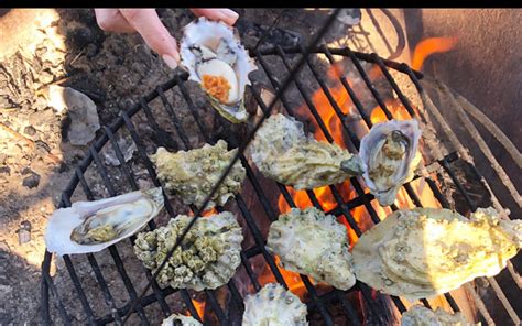 How To Grill Oysters