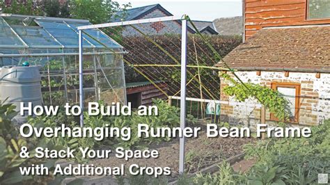 How To Build An Overhanging Runner Bean Frame Permaculture