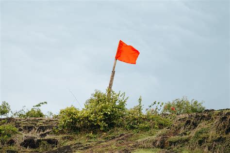 Red Flags In Commercial Due Diligence Process Part 2 Baer Reed LPO