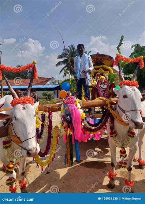 Festival Celebration in Village of India Editorial Image - Image of ...