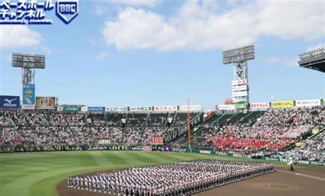 【最新版】夏の甲子園2024 トーナメント表・組み合わせ｜第106回全国高校野球選手権大会