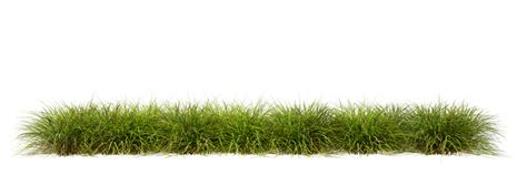 Grass Texture PNGs for Free Download