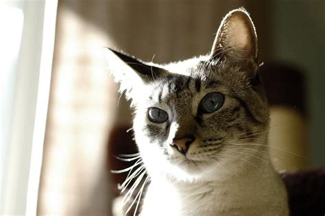 Happifying — Remembering our friends “She was scratching her...