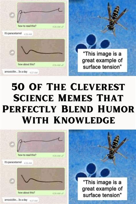 50 Of The Cleverest Science Memes That Perfectly Blend Humor With