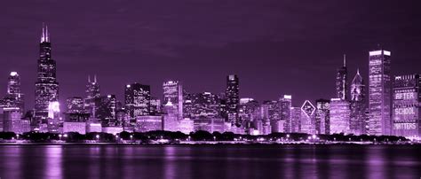 Chicago Skyline At Night Free Stock Photo Public Domain Pictures