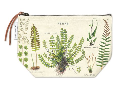 Cavallini Folders Sale Nearby 2