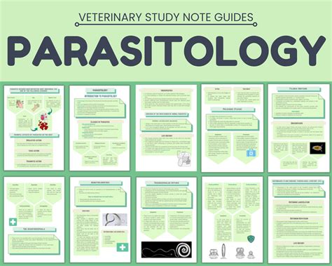 Vet Parasitology Study Guide Pdf Printable Pages Etsy