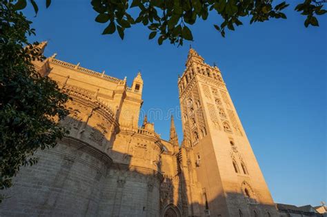 Sevilla Cathedral Catedral De Santa Maria De La Sede Gothic Style