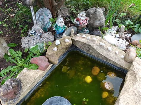 Garden pond : r/Outdoors