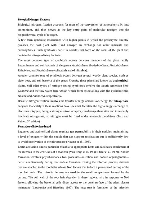 (PDF) NITROGEN CYCLE