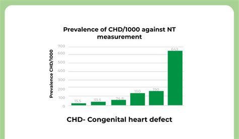 A Comprehensive Guide About Nt Scan During Pregnancy In 2024