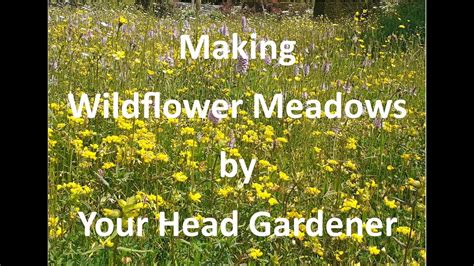 Wildflower Meadows Cutting Raking And Clearing After Flowering Youtube