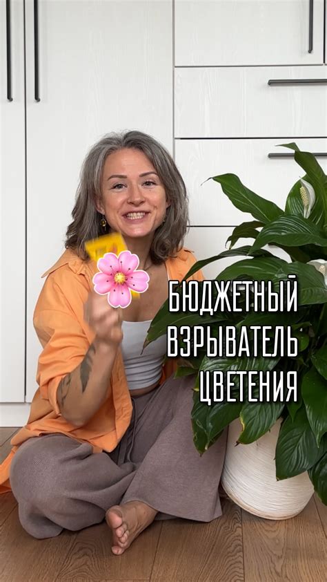 Что нужно знать об уходе за толстянкой? Сохраняйте: 🌱 это суккулент, а ...