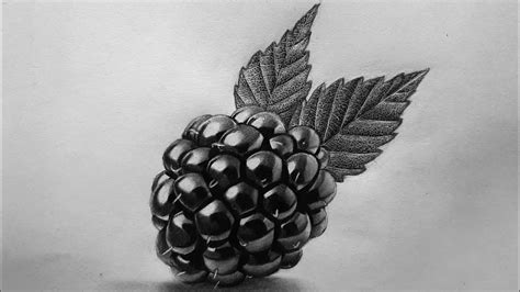 How To Draw Realistic Blackberry Realistic Blackberry Sketch Tutorial