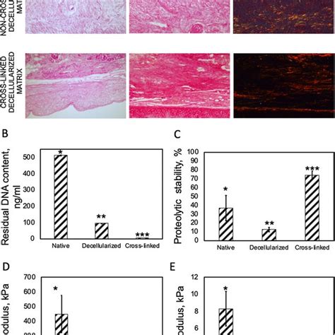 Characterization Of Cartilage Matrices Native Decellularized And