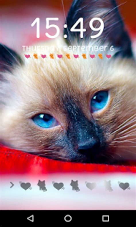 Cute Cat Lock Screen Passcode Pattern Cute Cat для Android — Скачать