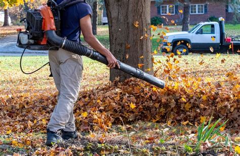 Yard Waste Dumpsters Help With Fall Leaf Removal Waste Removal USA