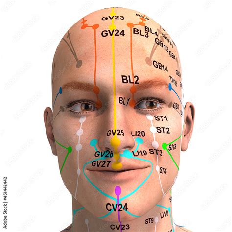 Eastern Or Asian Acupuncture And Acupressure Points On A Male Body