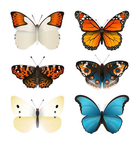 Ensemble De Vecteurs De Papillons Papillon Plat Coloré Dégradé De