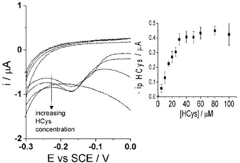 Cyclic Voltammograms 50 Mv ∙ S − 1 Of Adduct Peak Of 100 μm Catechol