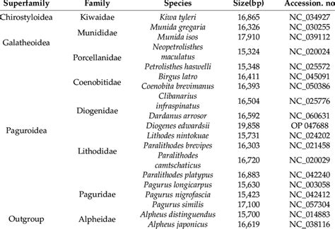 List of Anomura species with their GenBank accession numbers ...