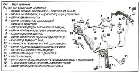 Жгуты проводов | Автомобильный справочник