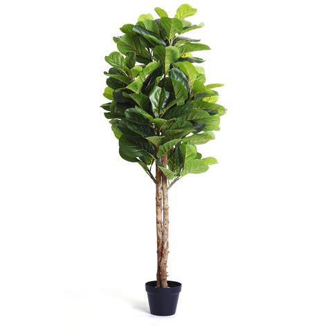 Best Artificial Fiddle Leaf Fig Tree | Fake Fiddle Leaf Fig Tree ...