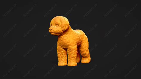 Fichier Stl Chien Bichon Fris Mod Le Imprim En D Pose Objet Pour