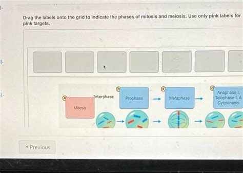 12 Drag The Labels Onto The Grid To Indicate The Chegg