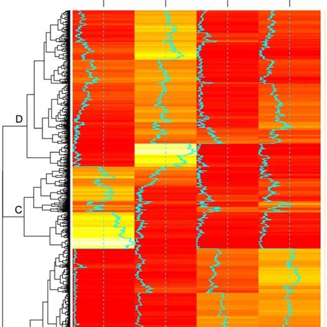 Heat Map Of Differentially Expressed Genes Degs In The Four Tissues Download Scientific