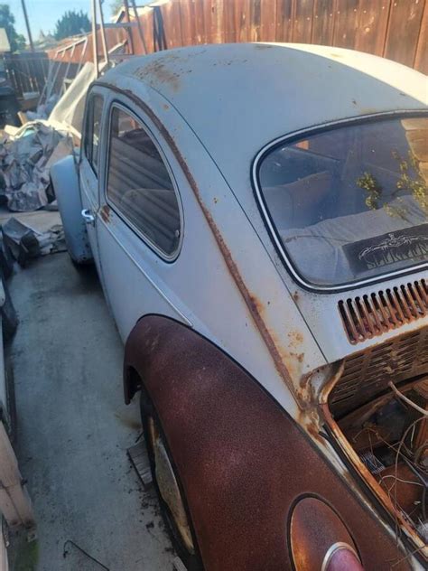 Beetle Blue Rear Barn Finds